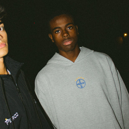 CHAMPIONS GREY HOODIE 500